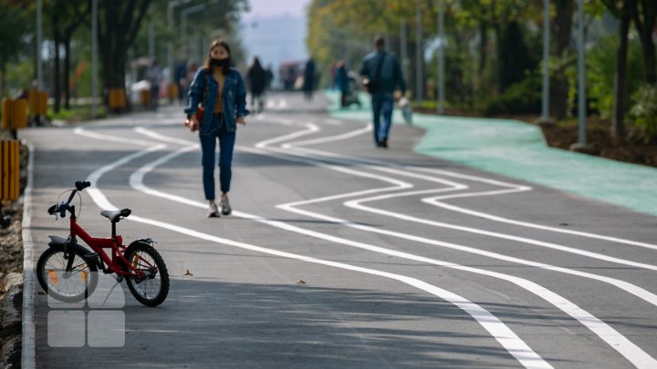 aleea de pe bulevardul Mircea cel Bătrân (FOTOREPORT)