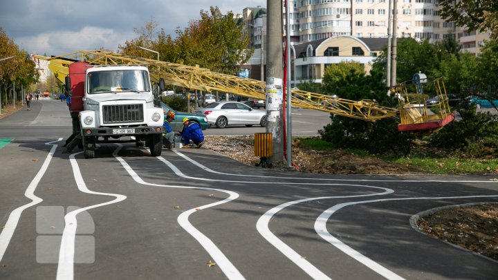 aleea de pe bulevardul Mircea cel Bătrân (FOTOREPORT)