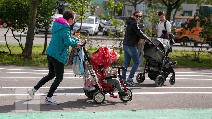 aleea de pe bulevardul Mircea cel Bătrân (FOTOREPORT)