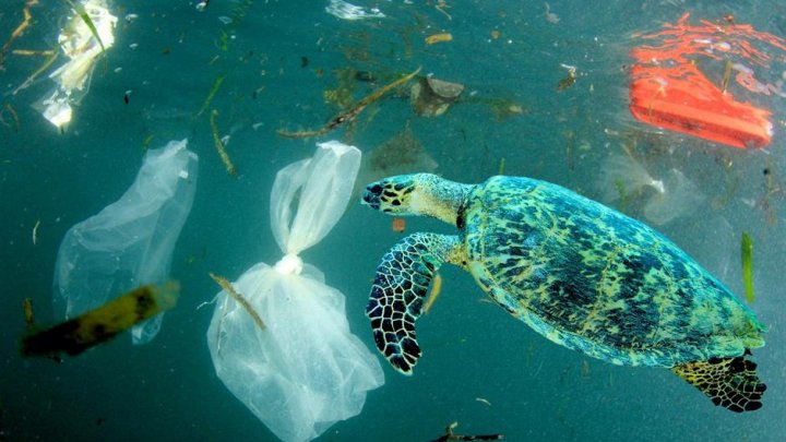 Studiu: Cel puțin 14 milioane de tone de plastic se află pe fundul oceanului planetar, de 30 de ori mai mult decât la suprafață