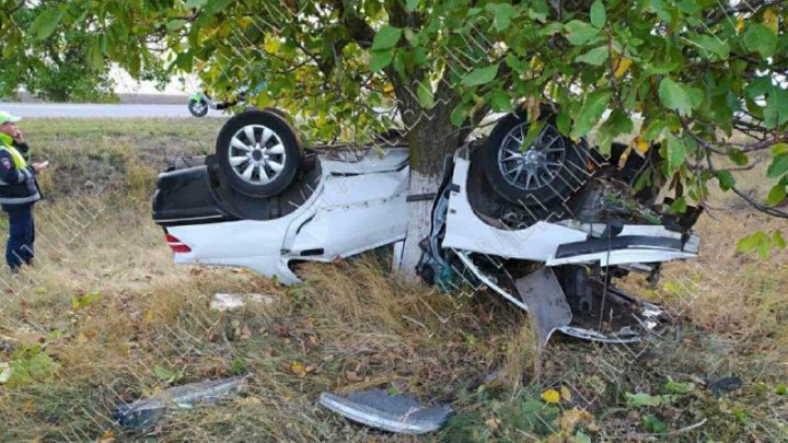 Accident violent: O mașină a ajuns într-un copac, după ce a lovit un câine pe stradă (FOTO)