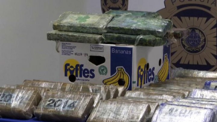 Trei tone de cocaină, ascunse printre banane. Unde urmau să ajungă