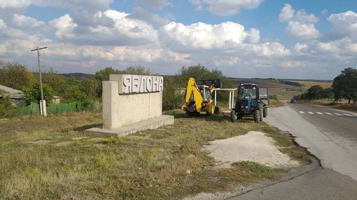 Focar de pestă porcină în raionul Glodeni