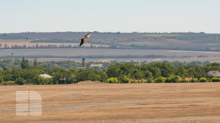 METEO 8 noiembrie: Cum va fi vremea în țară și ce temperaturi ne așteaptă