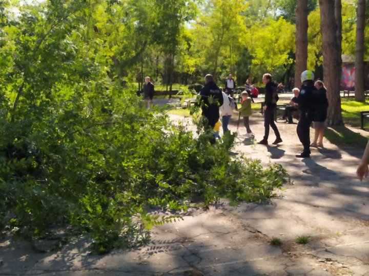 Un copac a căzut lângă o bancă pe care stăteau membrii unei familii, în parcul Valea Trandafirilor (FOTO)