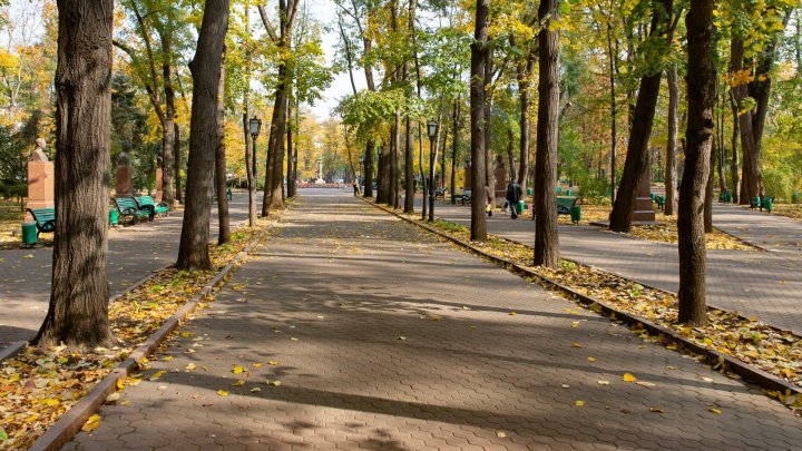 Cea mai rece dimineata de la începutul acestei toamne. Câte grade s-au înregistrat