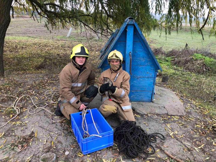 Misiune neobișnuită la Căușeni. O pisică care a căzut într-o fântână a fost salvată (FOTO)