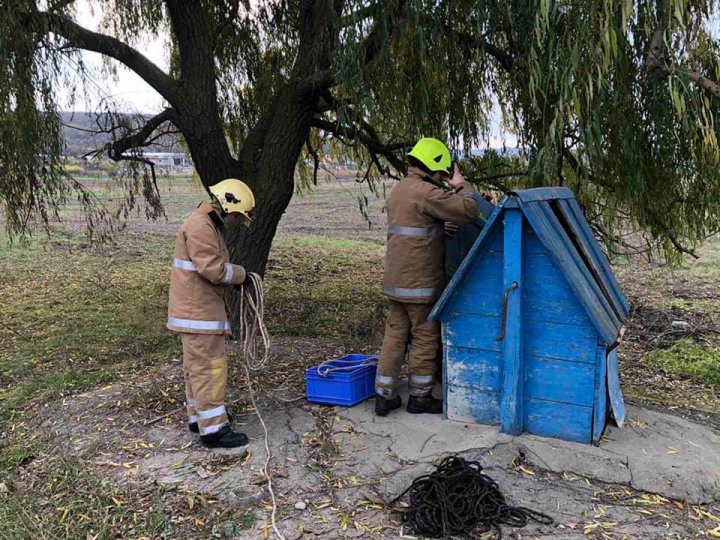 Misiune neobișnuită la Căușeni. O pisică care a căzut într-o fântână a fost salvată (FOTO)