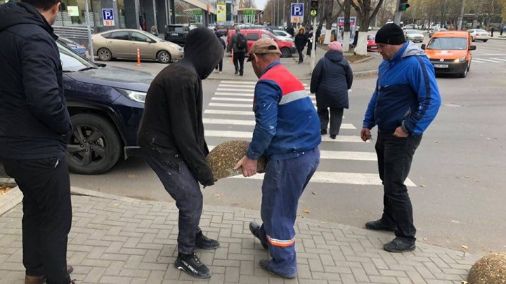 Gata cu parcările pe trotuar în sectorul Rîșcani al Capitalei. Strada pe care au fost instalate mai multe sfere de beton (FOTO)