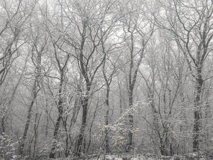 Vine iarna! În mai multe localități din țară au căzut primii fulgi (FOTO/VIDEO)