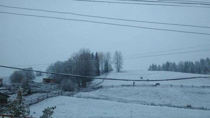 În munții Bucovinei au căzut primii fulgi de nea (FOTO)