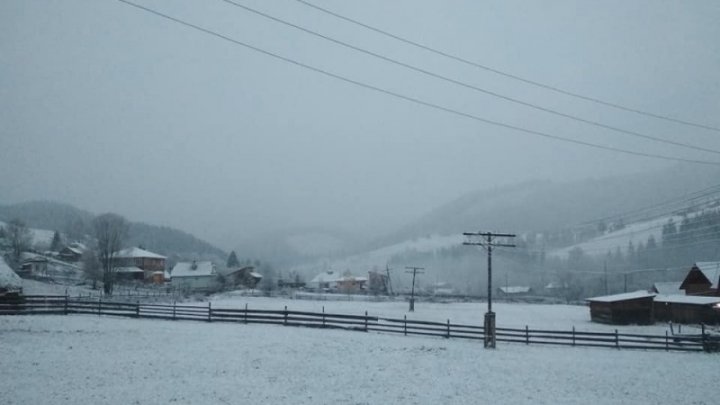 În munții Bucovinei au căzut primii fulgi de nea (FOTO)