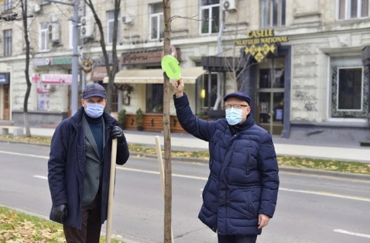 Primarul general al Capitalei, Ion Ceban, la plantat copaci cu ambasadorii acreditaţi în ţara noastră (FOTO)