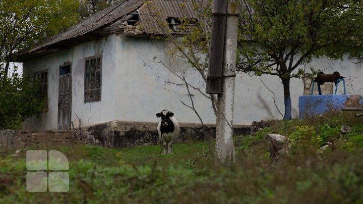 Viziunea peisajistică și mostre de arhitectură vernaculară s. Rogojeni (FOTOREPORT)