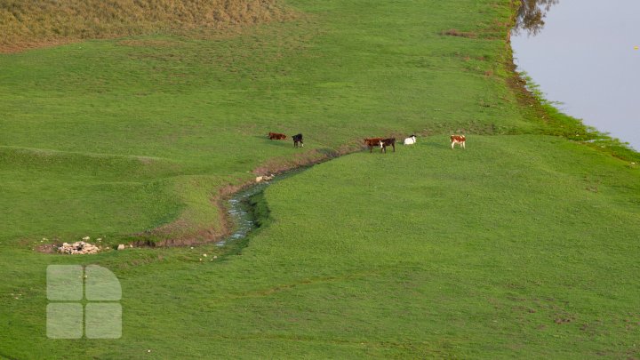 Viziunea peisajistică și mostre de arhitectură vernaculară s. Rogojeni (FOTOREPORT)