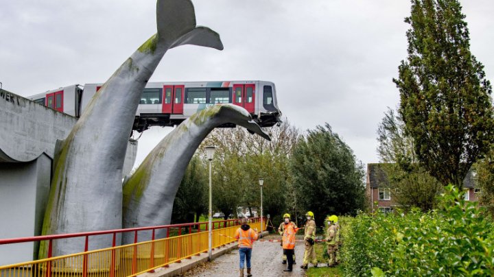 Accident incredibil în Olanda. Un tren a deraiat în sculptura unei cozi de balenă