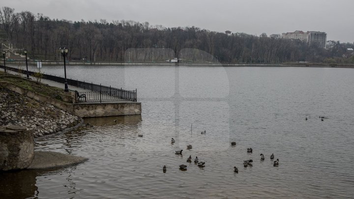 Avertismentul meteorologilor: În următoarele trei zile, vremea se va răci simţitor