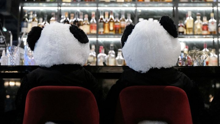 Protestul unui proprietar de restaurant: Urşi panda de pluş în loc de vizitatori