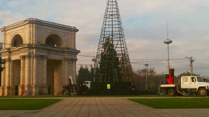 Magia sărbătorilor de iarnă, în condiții de pandemie. A început instalarea Pomului de Crăciun în Parcul Catedralei