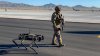 Bazele militare ale Forţelor Aeriene ale SUA vor fi păzite de câini-roboţi (VIDEO)