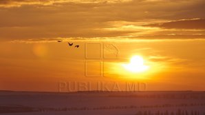 Solstițiul de vară 2021, tradiţii şi superstiţii. Ce să faci în cea mai lungă zi din an