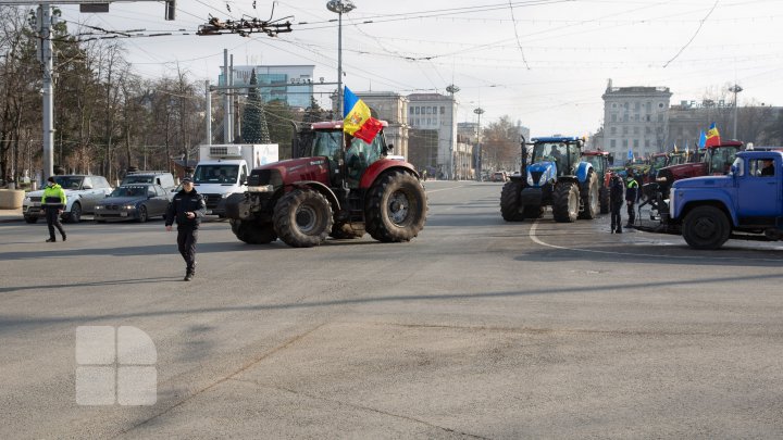 Fermierii protestatari, invitaţi la discuţii de către şeful statului Maia Sandu 