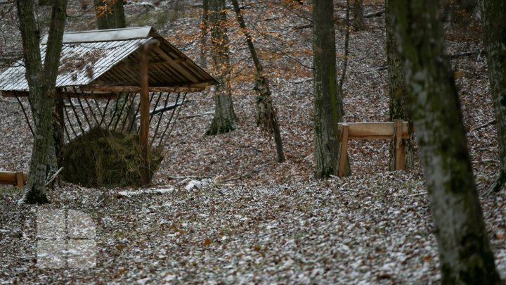 Trasee turistice prin rezervaţiile naturale din Moldova (FOTOREPORT)