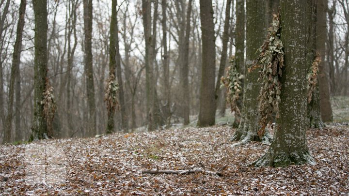 Trasee turistice prin rezervaţiile naturale din Moldova (FOTOREPORT)