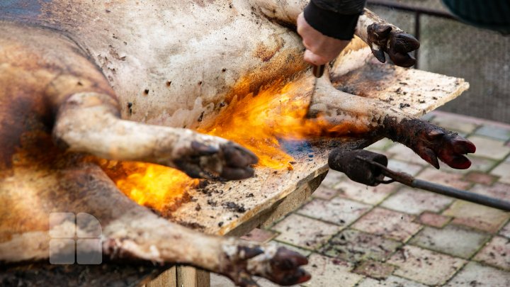 Moldovenii sunt în toiul pregătirilor de Crăciun. Tradiţional, în această perioadă se taie porcul (FOTO)