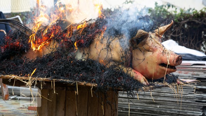 Moldovenii sunt în toiul pregătirilor de Crăciun. Tradiţional, în această perioadă se taie porcul (FOTO)