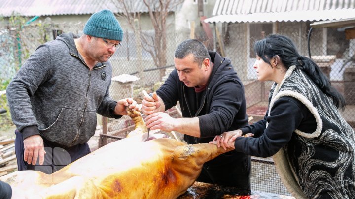 Moldovenii sunt în toiul pregătirilor de Crăciun. Tradiţional, în această perioadă se taie porcul (FOTO)