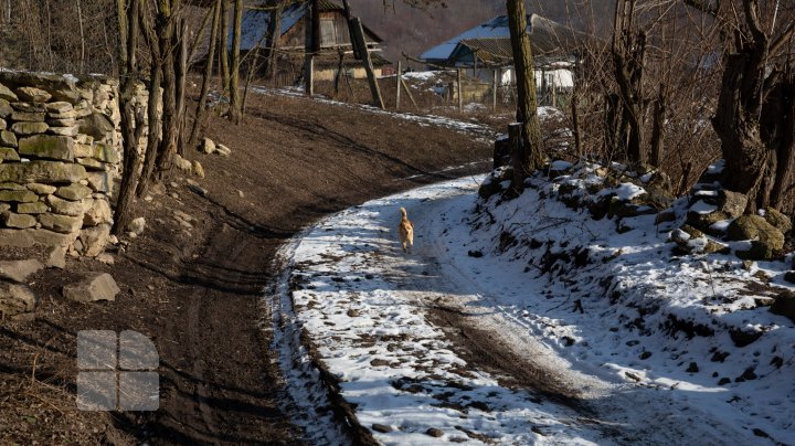 Satele Moldovei devin tot mai pustii. Trei localităţi din raionul Soroca vor fi în curând sate doar pe hârtie (FOTOREPORT)