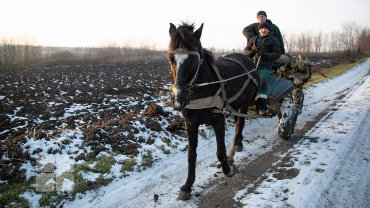 Satele Moldovei devin tot mai pustii. Trei localităţi din raionul Soroca vor fi în curând sate doar pe hârtie (FOTOREPORT)