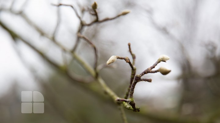 Meteo 28 martie: Vreme caldă și ploi pe aproape întreg teritoriu al țării. Câte grade vor indica termometrele