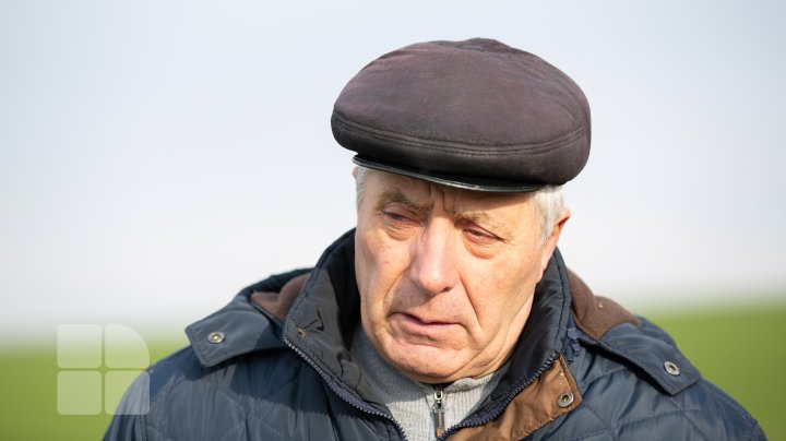 Schimbarea bruscă a vremii îi îngrijorează pe agricultori. Aceştia se tem că nu vor avea recoltă nici în acest an (FOTO)