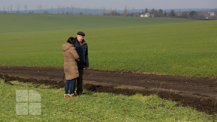 Schimbarea bruscă a vremii îi îngrijorează pe agricultori. Aceştia se tem că nu vor avea recoltă nici în acest an (FOTO)