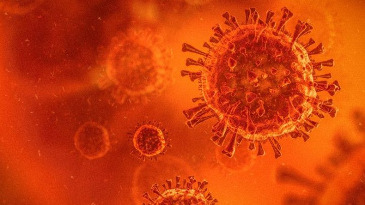 Varianta sud-africană de coronavirus a fost detectată în Noua Zeelandă