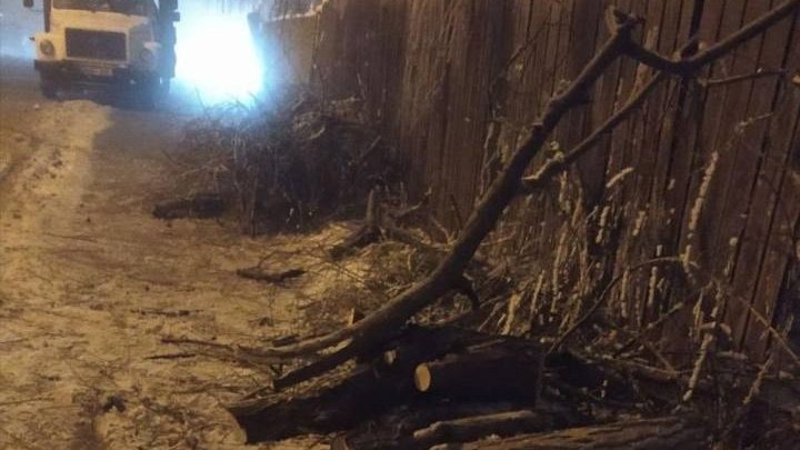 DEZASTRU la Chişinău. Poleiul şi chiciura au doborât mai mulţi copaci pe carosabil şi firele electrice (FOTO)