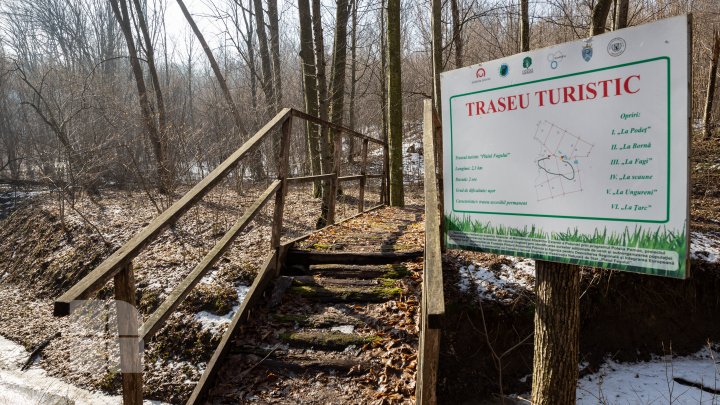 Trasee turistice prin rezervaţiile naturale din Moldova (FOTOREPORT)