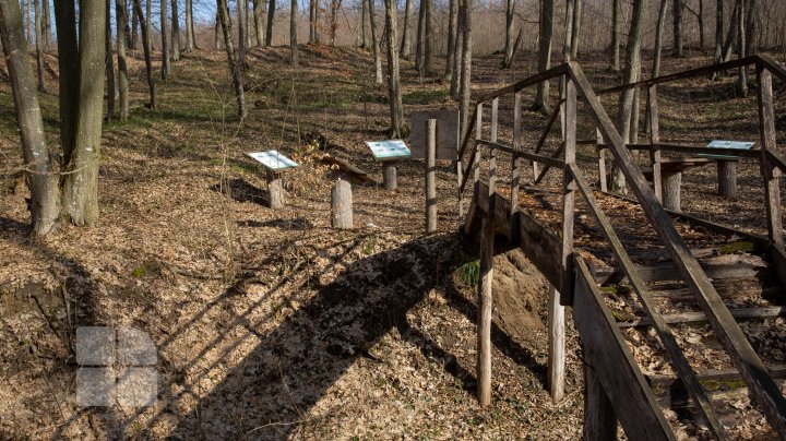 Trasee turistice prin rezervaţiile naturale din Moldova (FOTOREPORT)