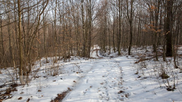 Trasee turistice prin rezervaţiile naturale din Moldova (FOTOREPORT)