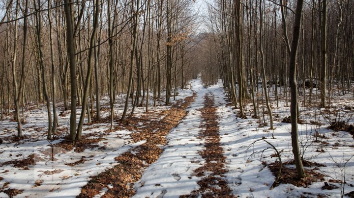 Trasee turistice prin rezervaţiile naturale din Moldova (FOTOREPORT)