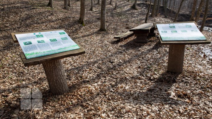 Trasee turistice prin rezervaţiile naturale din Moldova (FOTOREPORT)