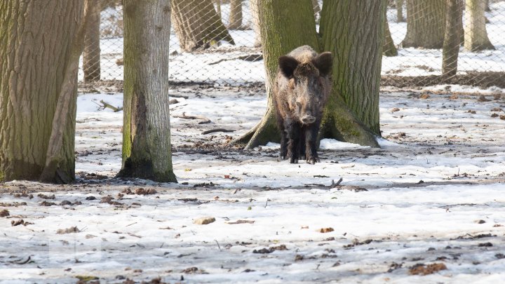 Trasee turistice prin rezervaţiile naturale din Moldova (FOTOREPORT)