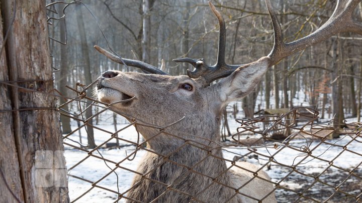 Trasee turistice prin rezervaţiile naturale din Moldova (FOTOREPORT)