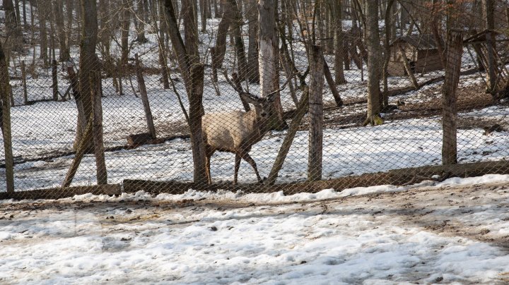 Trasee turistice prin rezervaţiile naturale din Moldova (FOTOREPORT)