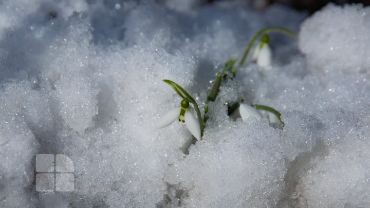 Trasee turistice prin rezervaţiile naturale din Moldova (FOTOREPORT)