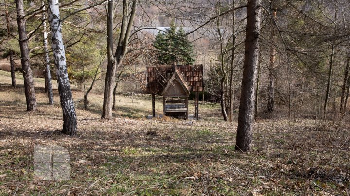 Trasee turistice prin rezervaţiile naturale din Moldova (FOTOREPORT)