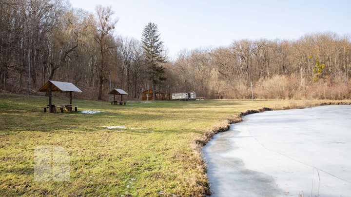 Trasee turistice prin rezervaţiile naturale din Moldova (FOTOREPORT)