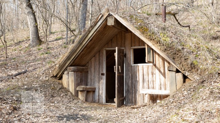 Trasee turistice prin rezervaţiile naturale din Moldova (FOTOREPORT)